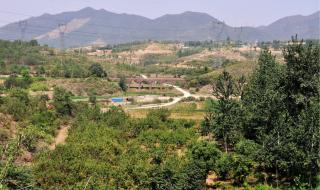 石家庄太平洋影城