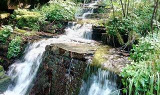 小兴安岭旅游 小兴安岭旅游